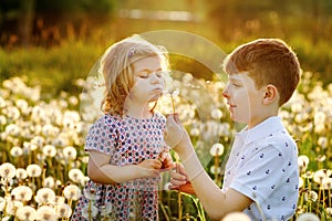 School kid boy and little baby girl blowing on a dandelion flowers on the nature in the summer. Happy healthy toddler