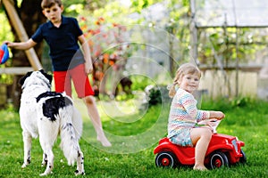 School kid boy and little toddler girl playing with family dog in garden. Two children, adorable siblings having fun