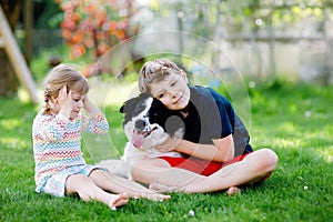 School kid boy and little toddler girl playing with family dog in garden. Two children, adorable siblings having fun