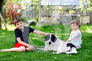 School kid boy and little toddler girl playing with family dog in garden. Two children, adorable siblings having fun