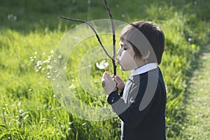 School kid holding wooden stick and blowing dandelion on the way back home from school, Active boy playing at te park in a hot sun