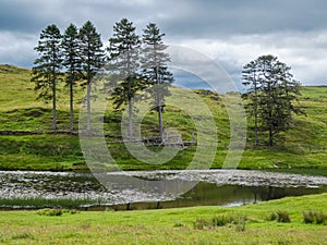 School Knot Tarn: a small body of water in the English Lake District