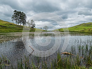 School Knot Tarn: a small reedy body of water in the English Lake District