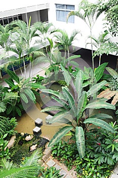 School landscaping with pond