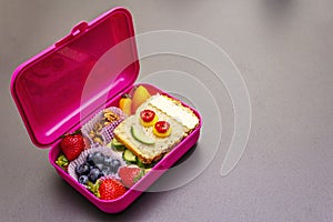 School lunch box