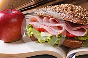 School lunch: a ham sandwich and an apple on open notebook
