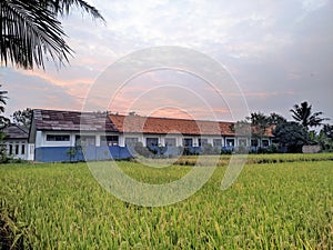School in Middle Ricefield