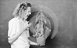 School nature study. teacher woman in glasses at biology lesson. environmental education. tree of knowledge. school