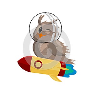 School owls. Color cute birds studying astronomy in school. Teaching education cartoon vector characters