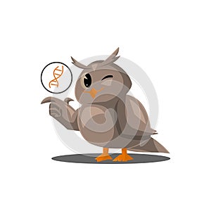 School owls. Color cute birds studying biology in school. Teaching education cartoon vector characters