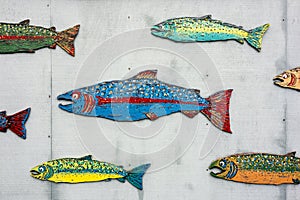 School Of Painted Salmon