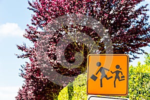 School road sign in spring in Tuscany, Italy