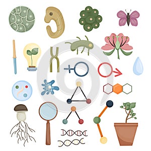 School subjects supplies icon illustration set, biology education collection. biologinal equipment clipart. Knowledge study vector photo