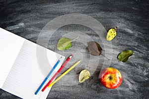 School supplies on black board background. Color pencils and copybooks. Back to school concept. 1of September