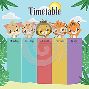 School timetable with cute felines photo