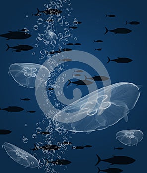 A school of tuna and a group of moon jellyfish are seen