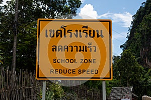 School zone reduce speed sign on tree and road background.