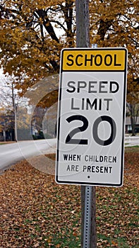 School Zone Sign in Fall