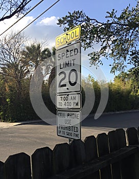 School Zone Speed Limit 20 Sign