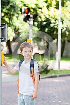 Schoolboy with backpack pressing a button on traffic