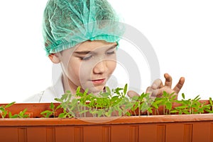 Schoolboy checking new plants in laboratory