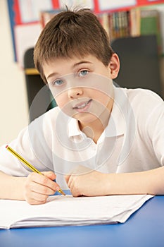 Schoolboy In IT Class Using Computer