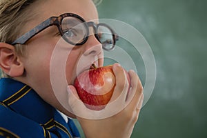 Schoolboy eating red apple against chalkboard