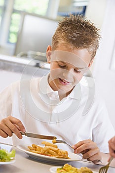 Schoolboy enjoying his lunch in a school cafeteria