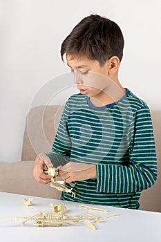 The boy with enthusiasm collects a skeleton of a dinosaur