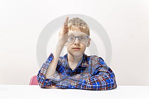 schoolboy with glasses raises his hand. boy in plaid shirt knows answer. Elementary school. Study online from home