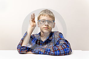 schoolboy with glasses raises his hand. boy in plaid shirt knows answer. Elementary school. Study online from home