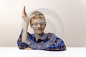 schoolboy with glasses raises his hand. boy in plaid shirt knows answer. Elementary school. Study online from home