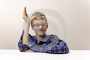 schoolboy with glasses raises his hand. boy in plaid shirt knows answer. Elementary school. Study online from home