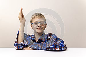 schoolboy with glasses raises his hand. boy in plaid shirt knows answer. Elementary school. Study online from home