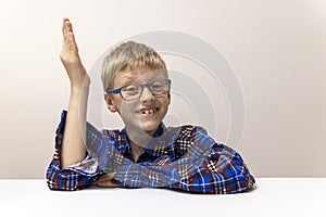 schoolboy with glasses raises his hand. boy in plaid shirt knows answer. Elementary school. Study online from home