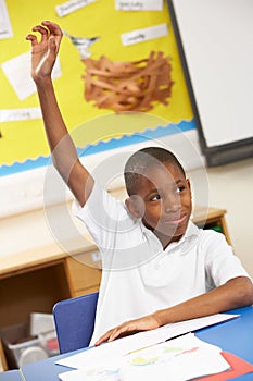 Schoolboy Raising Hand In Classroom