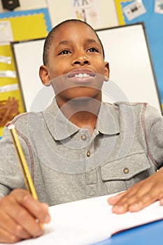 Schoolboy Studying In Classroom