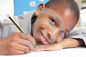 Schoolboy Studying In Classroom