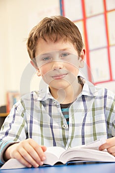 Schoolboy Studying Textbook In Classroom