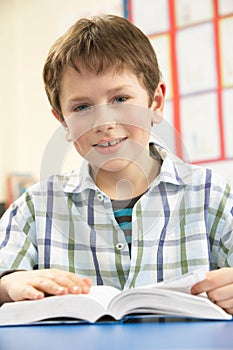 Schoolboy Studying Textbook In Classroom photo