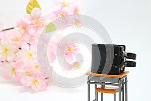 Schoolchild`s rucksacks and cherry blossoms on white background. Black randoseru.