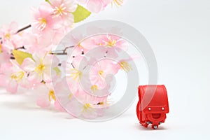 Schoolchild`s rucksacks and cherry blossoms on white background. Red randoseru.