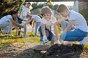 Schoolchildren planting young fruit trees