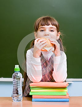 Schoolgirl eating fast food while having lunch