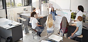 Schoolgirl presenting in front of science class, high angle