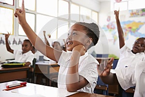 Schoolgirl raising hand during a lesson at elementary school