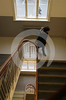 Schoolgirl in staircase