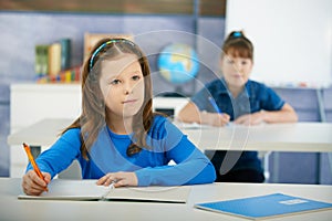 Schoolgirls in elementary school classroom photo