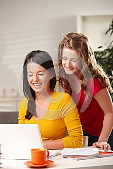 Schoolgirls looking at computer