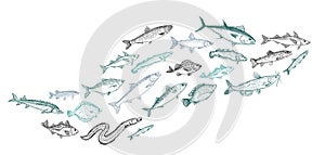 Schooling fish graphic illustration photo